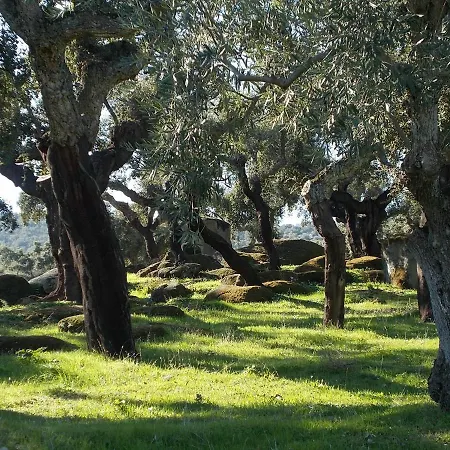 La Tierra Verde Studio *