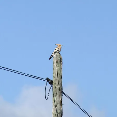 La Tierra Alcuéscar