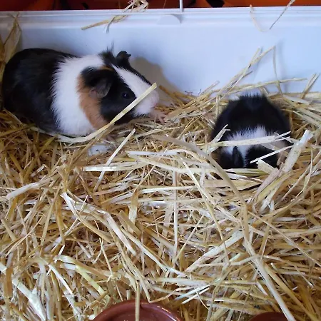 La Tierra Verde Studio Country house