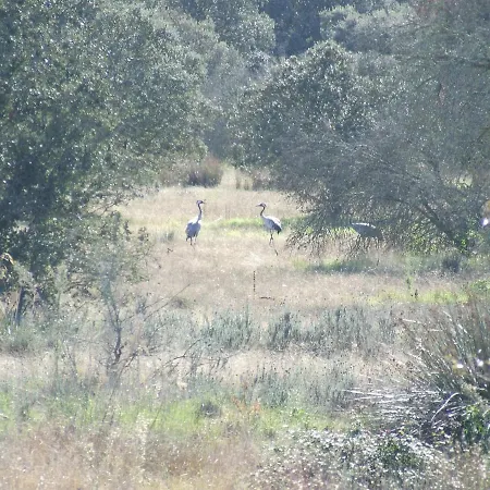 La Tierra Alcuéscar