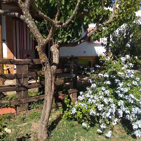 La Tierra Verde Studio