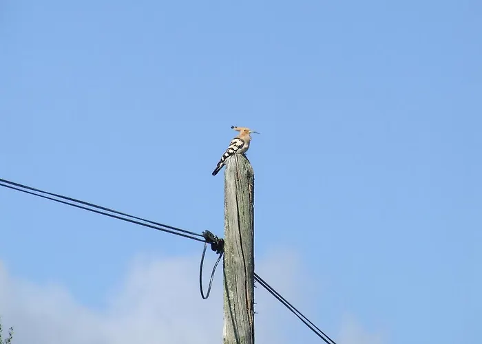 La Tierra Alcuéscar