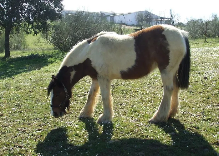 La Tierra Alcuéscar