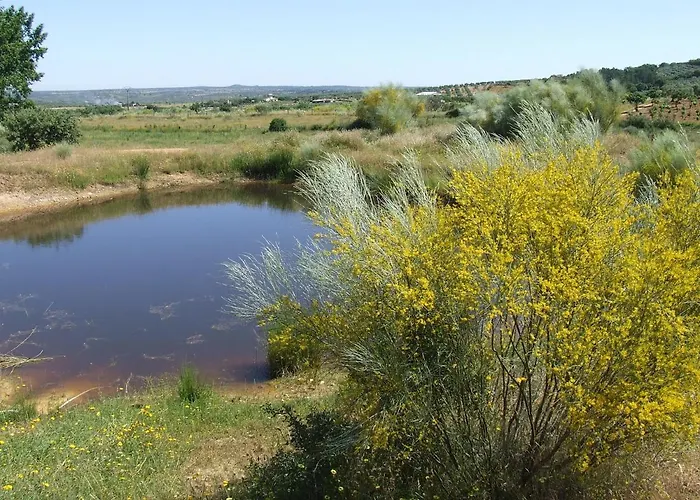 La Tierra * Alcuéscar