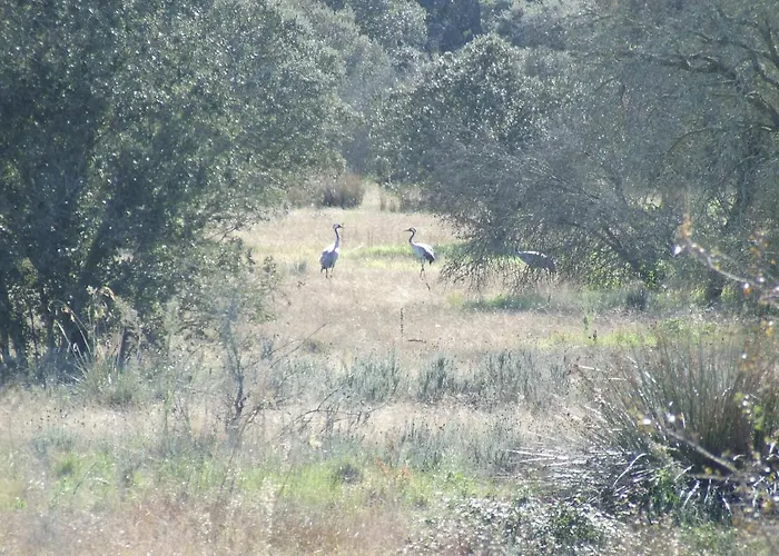La Tierra Alcuéscar