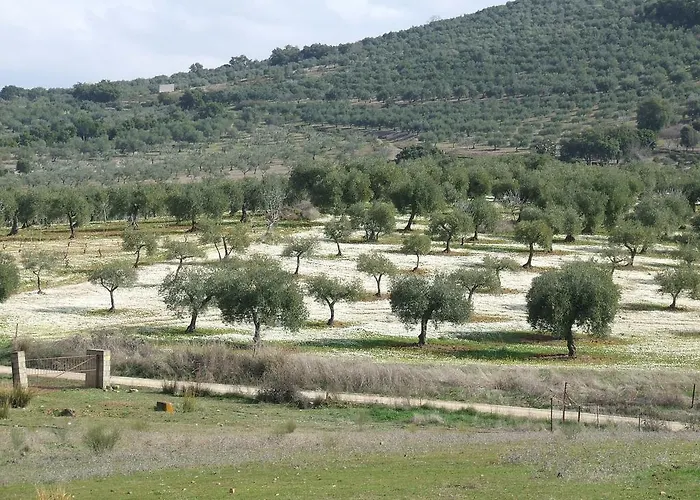 La Tierra Casa de Campo *